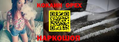 индика Гатчина