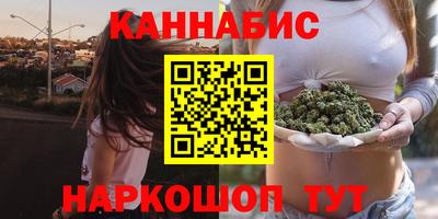 индика Гатчина
