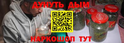 индика Гатчина