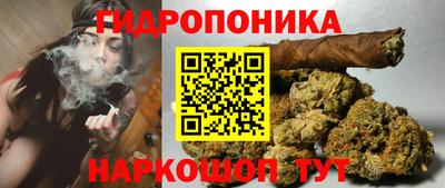 молекула духа Гай