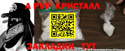 индика Гатчина