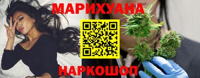 индика Гатчина