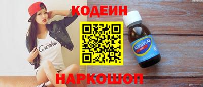 индика Гатчина
