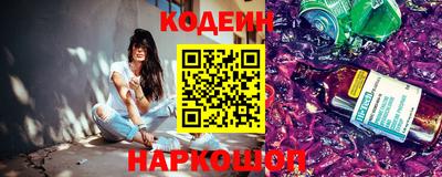 индика Гатчина
