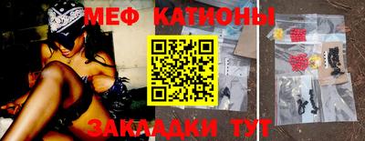 индика Гатчина